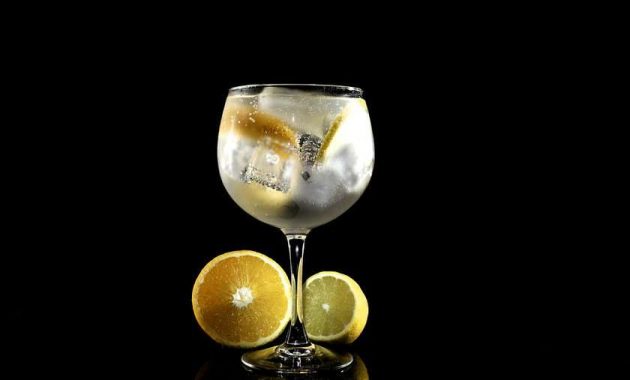 Receita de Gin Fizz