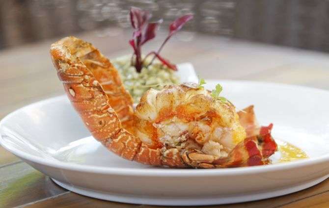 Receita de Lagosta grelhada ao molho de laranja com risoto