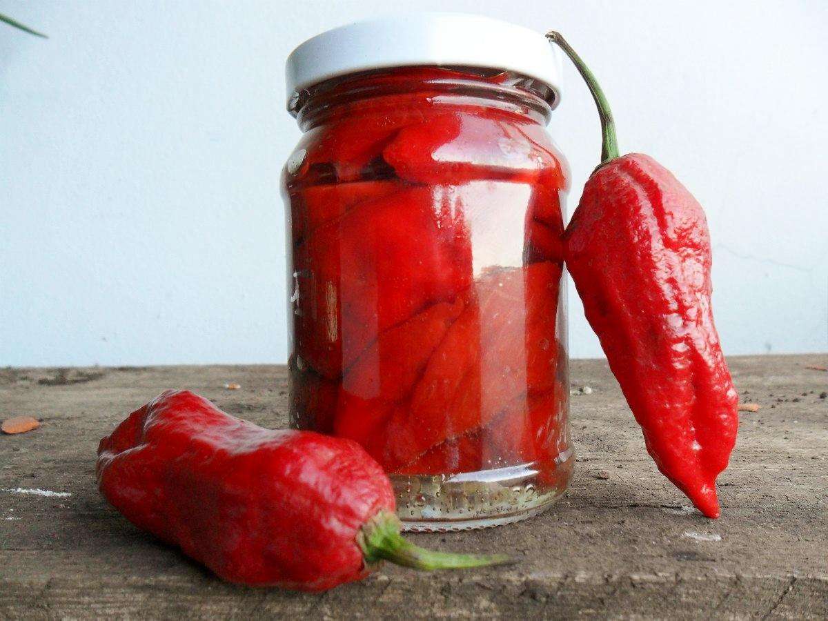 Receita de Molho de Pimenta em Conserva