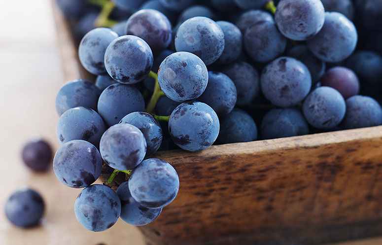 Benefício das Uvas