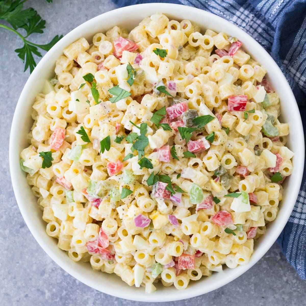 20 Receitas de salada de macarrão perfeitas para quem ama comidas leves, fáceis de fazer e saborosas para compartilhar com a família